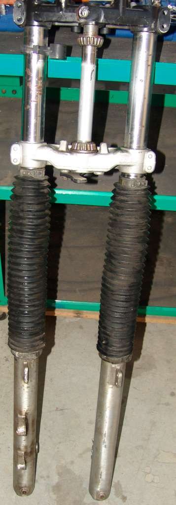 Y7 (5)2